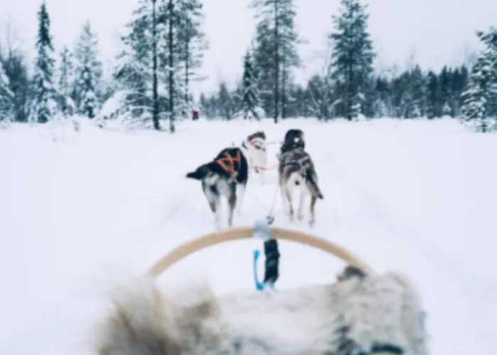 Aurora A2 Ski-in Ski-out By Aavalevi 아파트