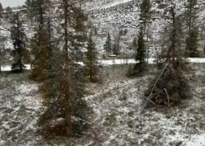 Aurora A2 Ski-in Ski-out By Aavalevi 아파트 레비