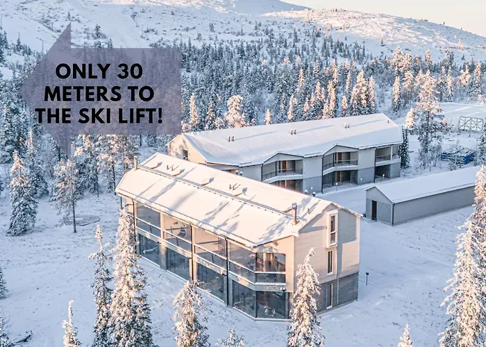 Aurora A2 Ski-in Ski-out By Aavalevi *